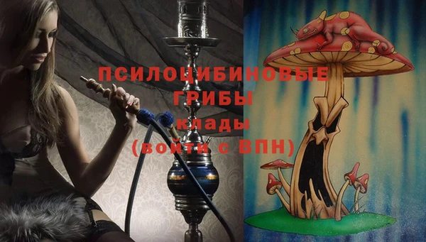 гидра Алексеевка