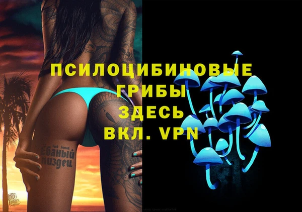 а пвп мука Алзамай
