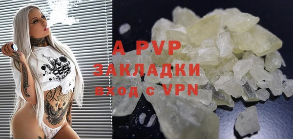 гидра Алексеевка