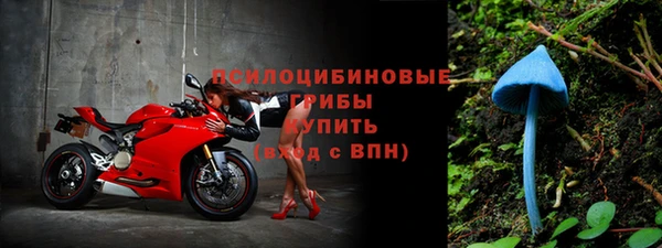 а пвп мука Алзамай