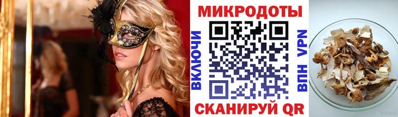 omg зеркало  Пучеж  Галлюциногенные грибы GOLDEN TEACHER 